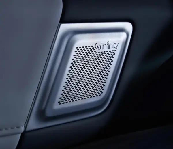 03T REEV door speaker detail